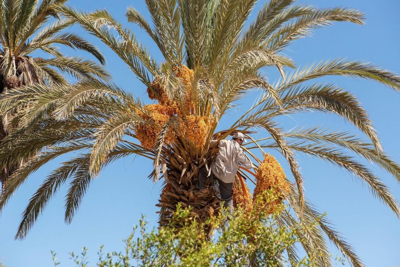Maison Etoile Du Desert Aït Boukha エクステリア 写真