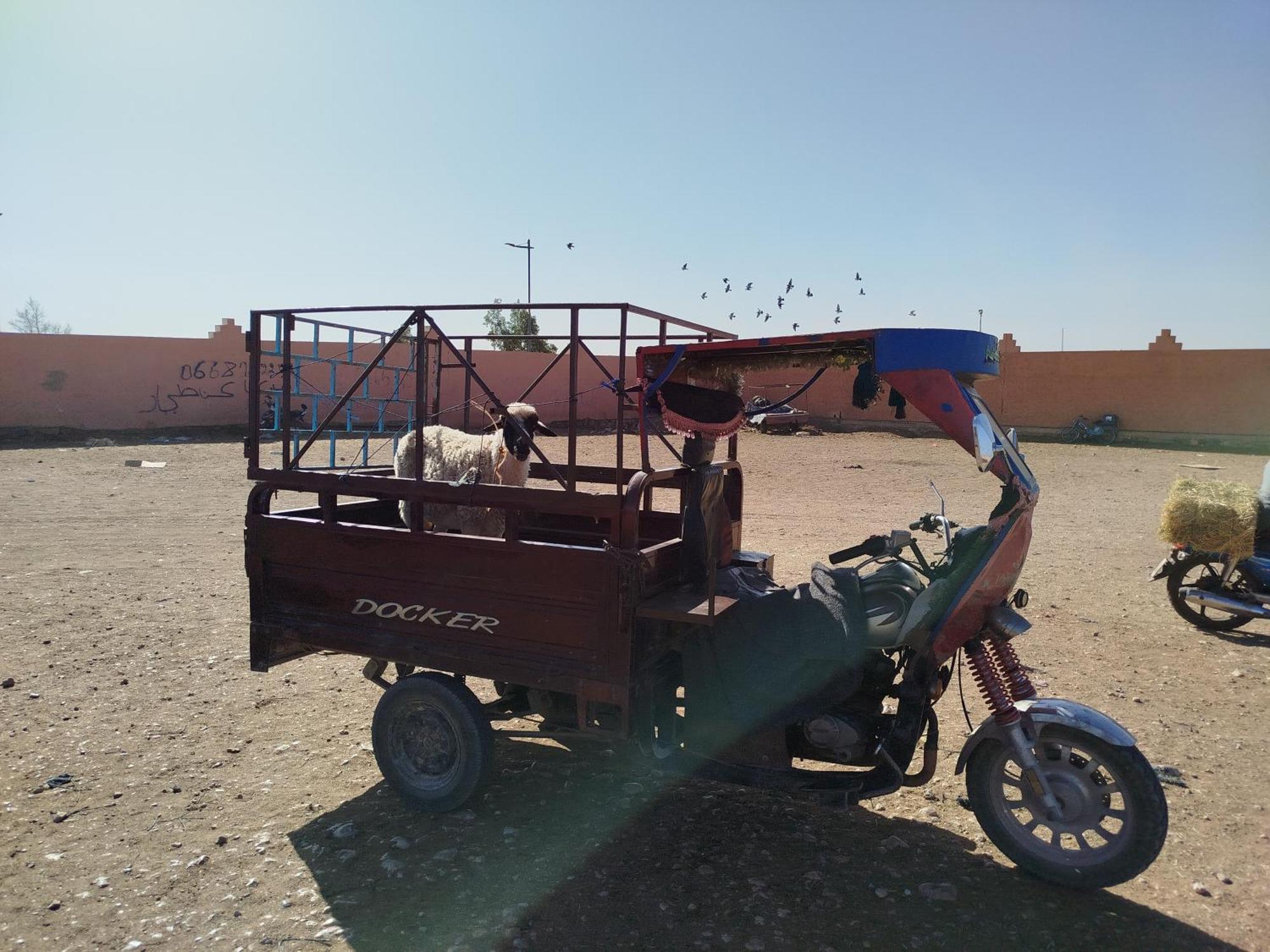 Maison Etoile Du Desert Aït Boukha エクステリア 写真