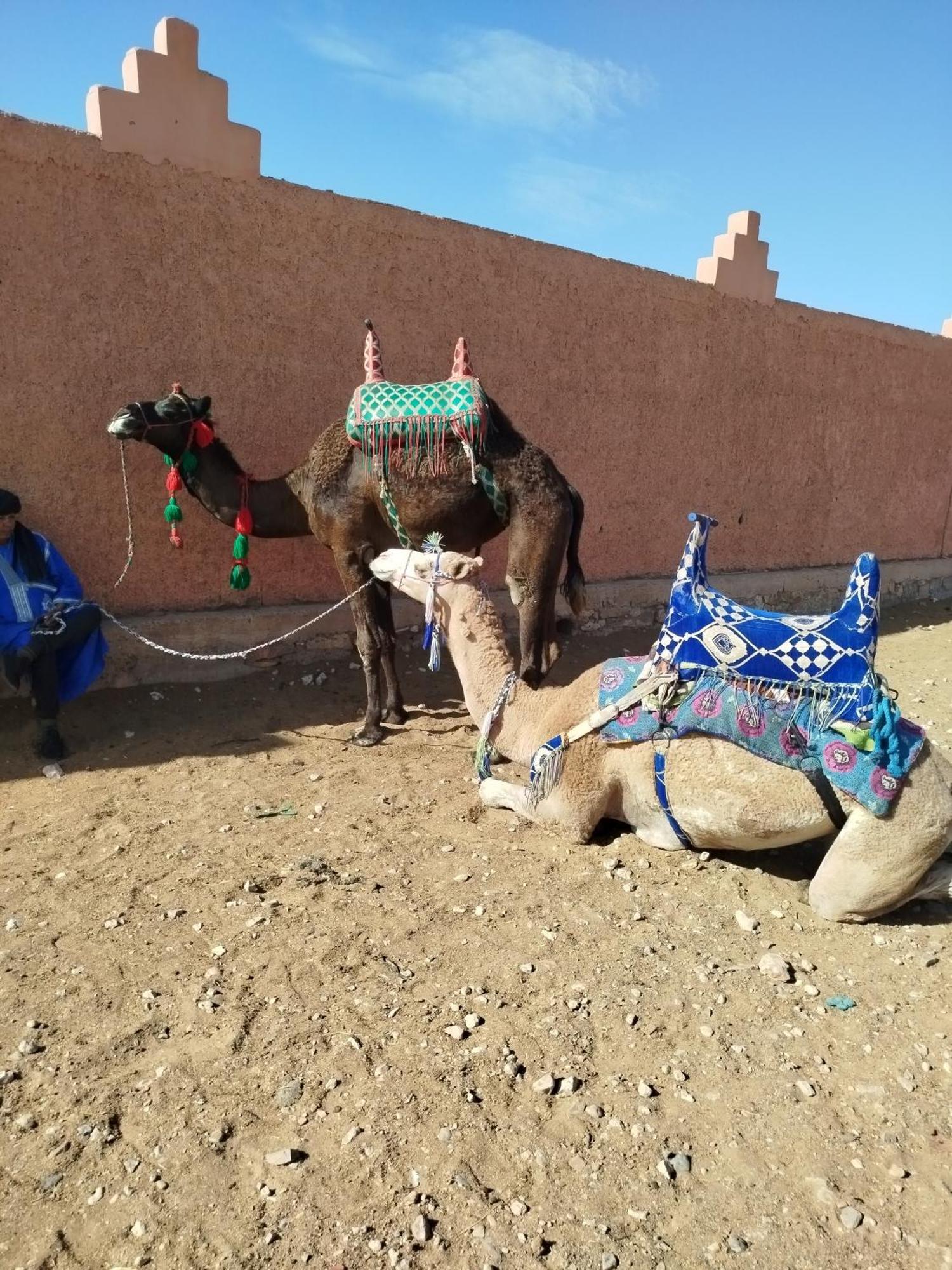 Maison Etoile Du Desert Aït Boukha エクステリア 写真