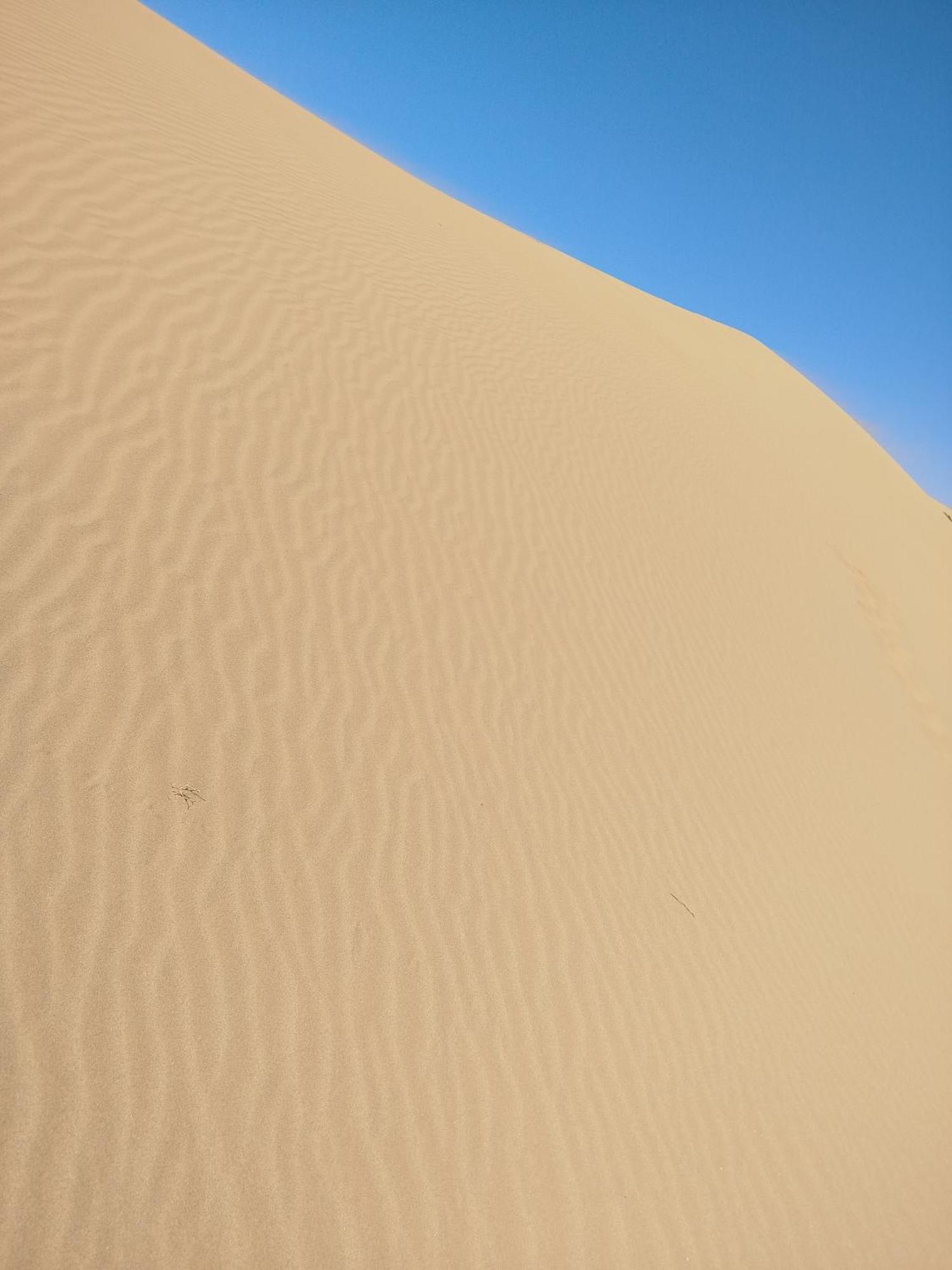 Maison Etoile Du Desert Aït Boukha エクステリア 写真